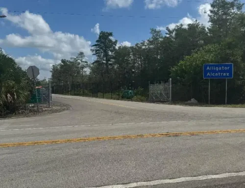 Grace and peace to you!