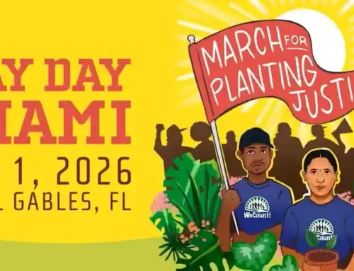 We really treasure this lovely weather.